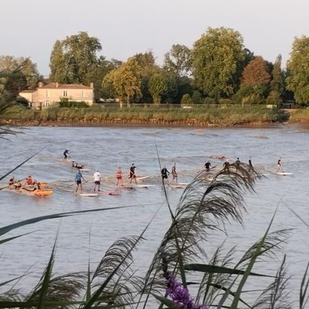 مبيت وإفطار L'Atelier Saint-Sulpice Entre Bordeaux Et St Emilion المظهر الخارجي الصورة